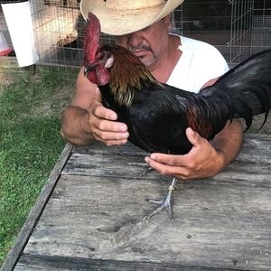 Meet your Posher, Raul